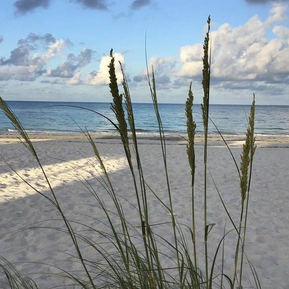 Meet your Posher, Tonya - Picture 1 of 1